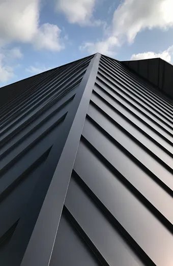Metal Roofing X